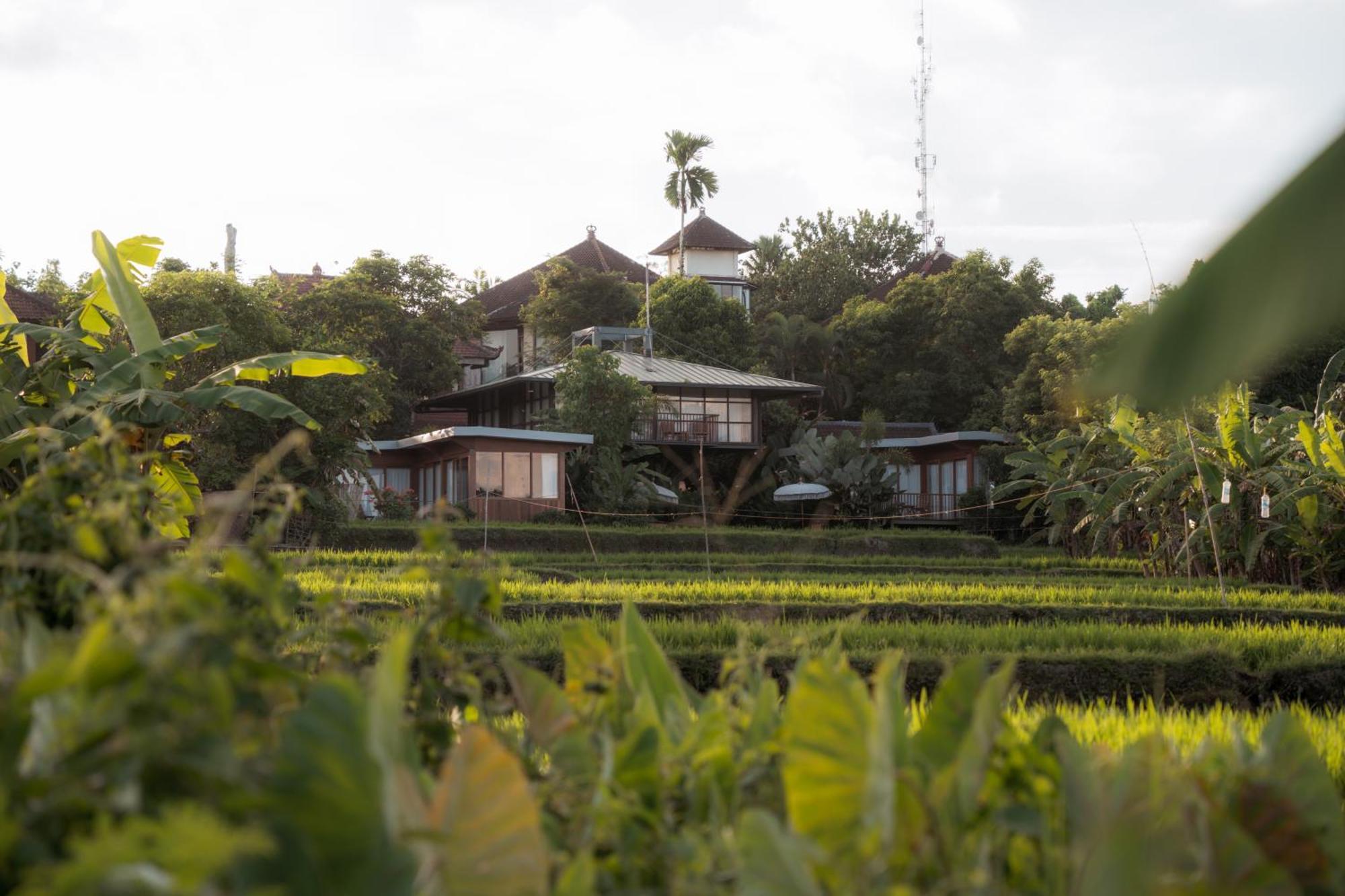 Grün Ubud Exterior foto