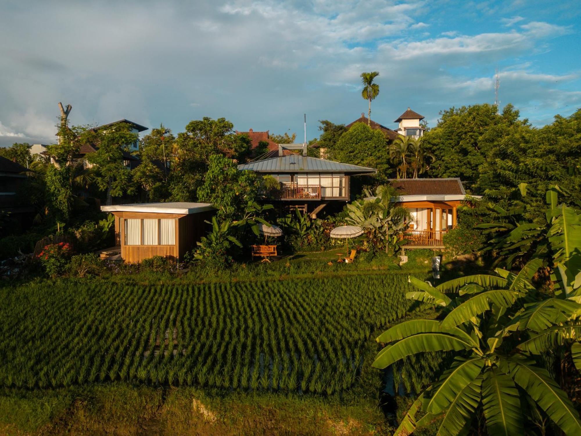 Grün Ubud Exterior foto